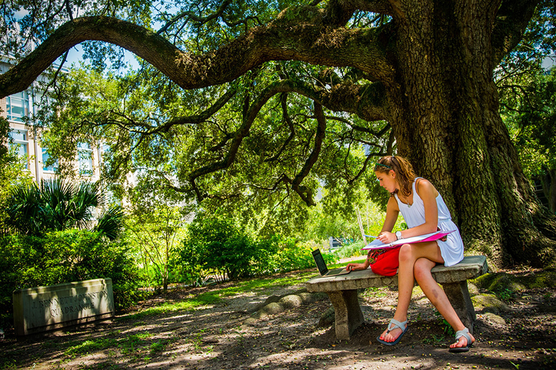 Student studying under tree