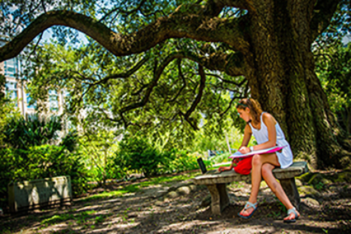Student studying under tree Student studying under tree